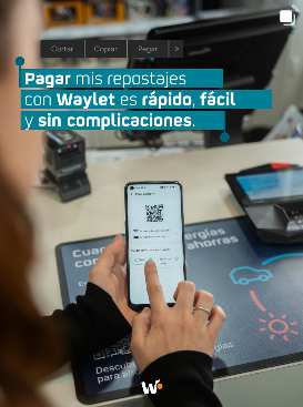 Captura de pantalla 2025-06-17 153924