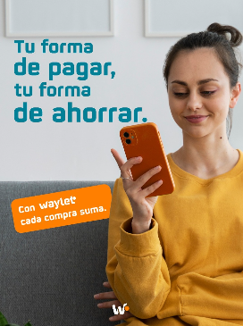 Captura de pantalla 2025-06-17 154027